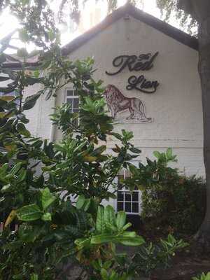 The Red Lion