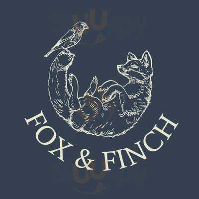 Fox & Finch