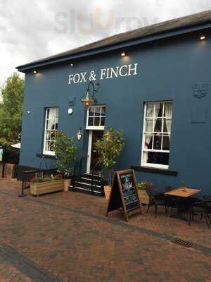 Fox & Finch