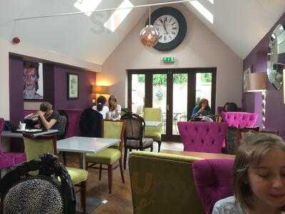 Slipped Disc's & Brown Sugar