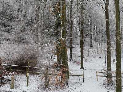 Beechwood Kitchen & Kiosks