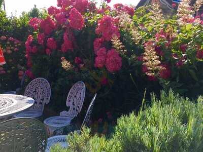 Laburnum Cottage Tea Room