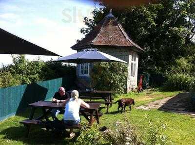 Grand View Tea Gardens