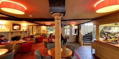 The Bear Grills Bistro