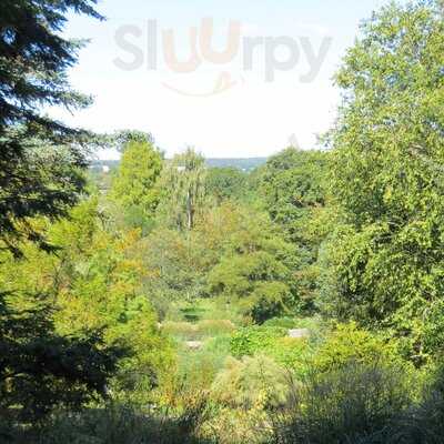 Restaurant & Cafes At Sir Harold Hillier Gardens