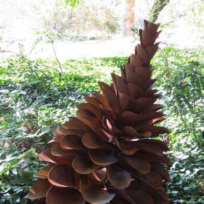 Restaurant & Cafes At Sir Harold Hillier Gardens