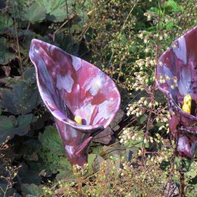 Restaurant & Cafes At Sir Harold Hillier Gardens