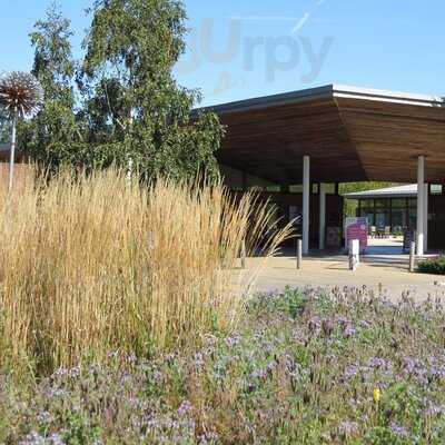 Restaurant & Cafes At Sir Harold Hillier Gardens