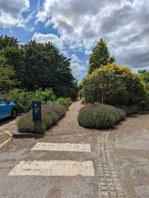 Restaurant & Cafes At Sir Harold Hillier Gardens