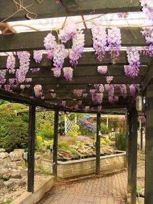 The Water Garden Cafe At Romsey World Of Water