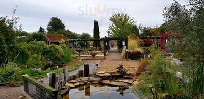 The Water Garden Cafe At Romsey World Of Water