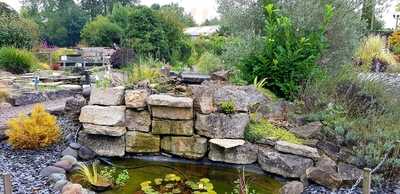 The Water Garden Cafe At Romsey World Of Water