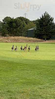 The Green At Burhill Golf Club