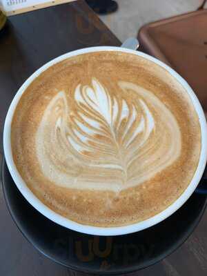 The Surrey Coffee Co.