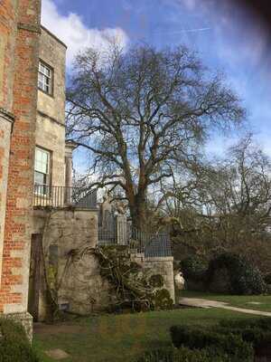 Mottisfont Cafe