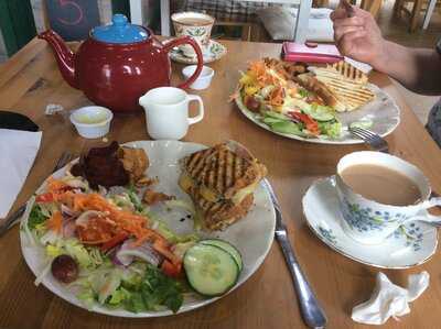 Lauren's Courtyard Coffee Shop