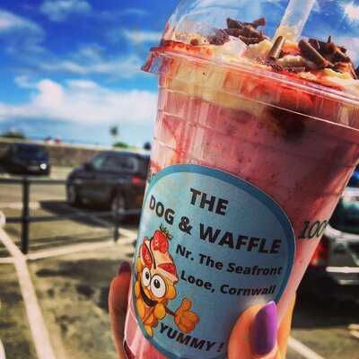 The Dog And Waffle, Looe