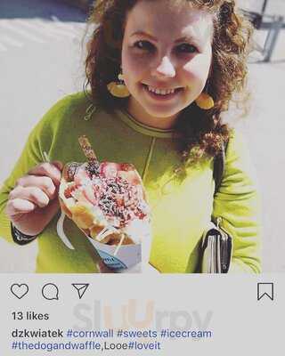 The Dog And Waffle, Looe