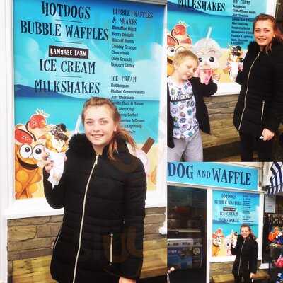 The Dog And Waffle, Looe