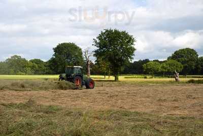 The Burstead Farm Shop Cafe