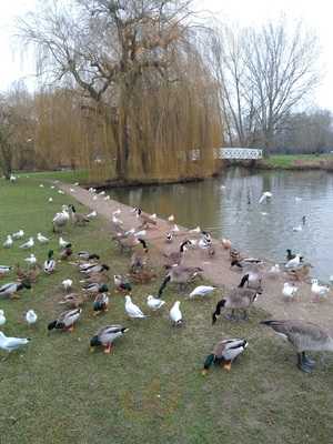 Waffle N Go St Neots Cambridgeshire
