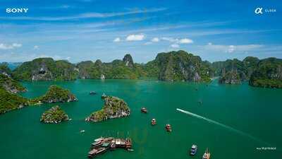 Bayside Fish & Chips