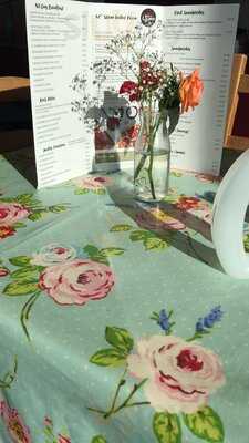 Pistachios In The Park