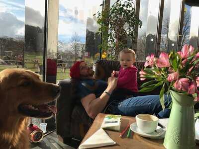 Pistachios In The Park