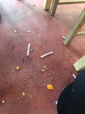 Pistachios In The Park