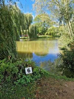 Manvell Farm Tearoom & Fisheries
