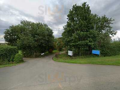 Manvell Farm Tearoom & Fisheries