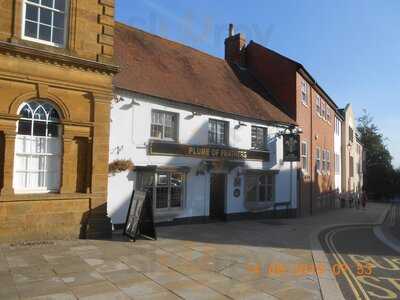 The Plume Of Feathers