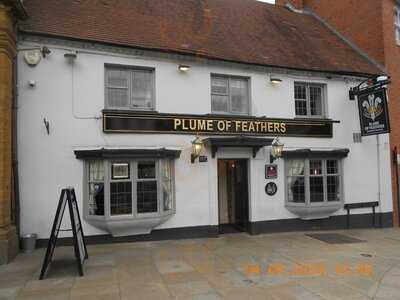 The Plume Of Feathers