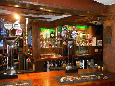 The Plume Of Feathers