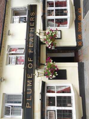 The Plume Of Feathers