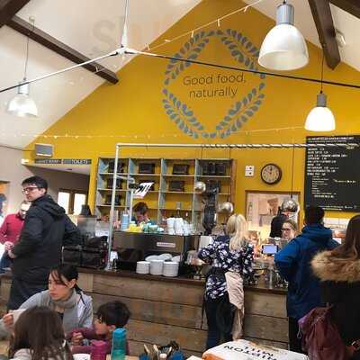 The Cafe In The Park