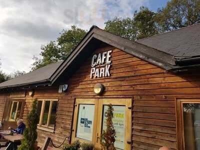 The Cafe In The Park