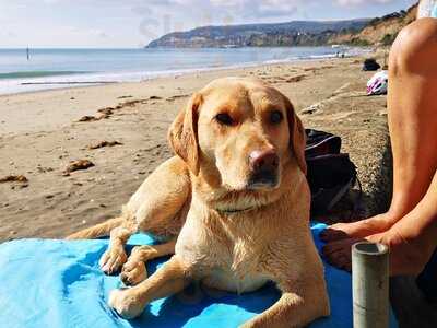The Beach Shack