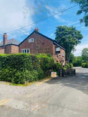 The Swan With Two Necks