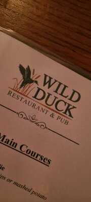 The Wild Duck