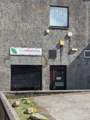 The Olive Tree
