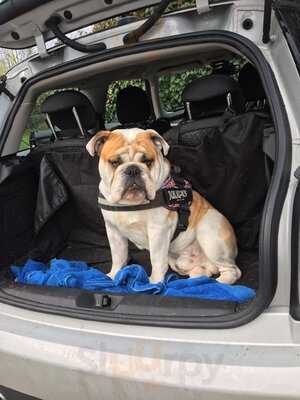 Strawberry Fayre Cafe