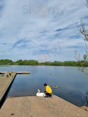 Strawberry Fayre Cafe
