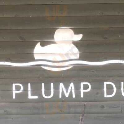 The Plump Duck