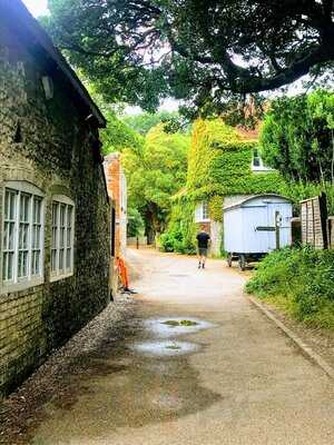 Saltmarsh Farmhouse Cafe