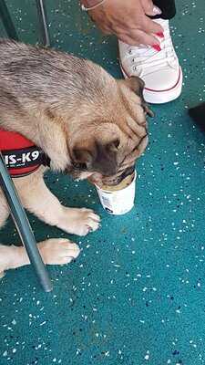 The Dolphin Restaurant