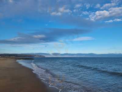 Chicken & Pizza Land