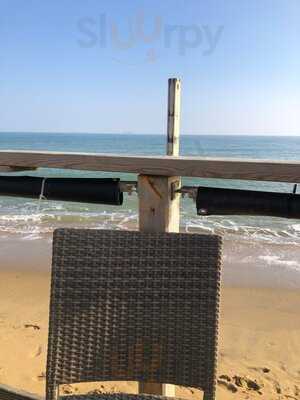 Driftwood Beach Bar N Grill