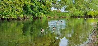 Kingfisher Cafe At The Wolseley Centre