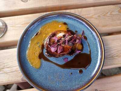 The Springer Spaniel